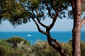 Aparthotel La Pineta, Lido di Jesolo