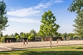 Villaggio Le Betulle, Lido Altanea