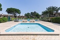 Villaggio Los Nidos, Porto Santa Margherita