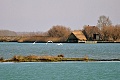 Hotel Maregolf, Lido Altanea