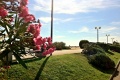 Hotel Nevada, Bibione