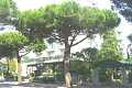 Hotel New Tiffany's Park, Lido di Jesolo