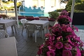 Hotel Palm Beach, Lido di Jesolo