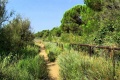 Park Hotel Pineta, Eraclea Mare