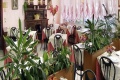 Park Hotel Peru, Lido di Jesolo