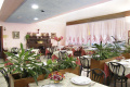 Park Hotel Peru, Lido di Jesolo