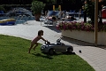 Hotel Playa Blanca, Duna Verde