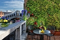 Hotel Rialto, Bentky