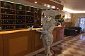Hotel Rialto, Bentky