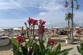 Hotel Solemare, Lido di Jesolo