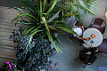 Hotel Tropical, Lido di Jesolo