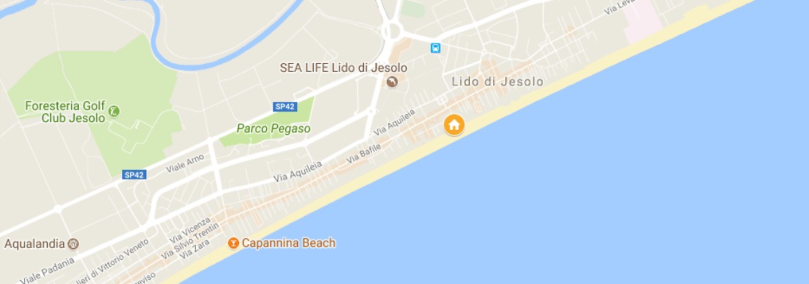 mapa Hotel Vidi Miramare & Delfino, Lido di Jesolo